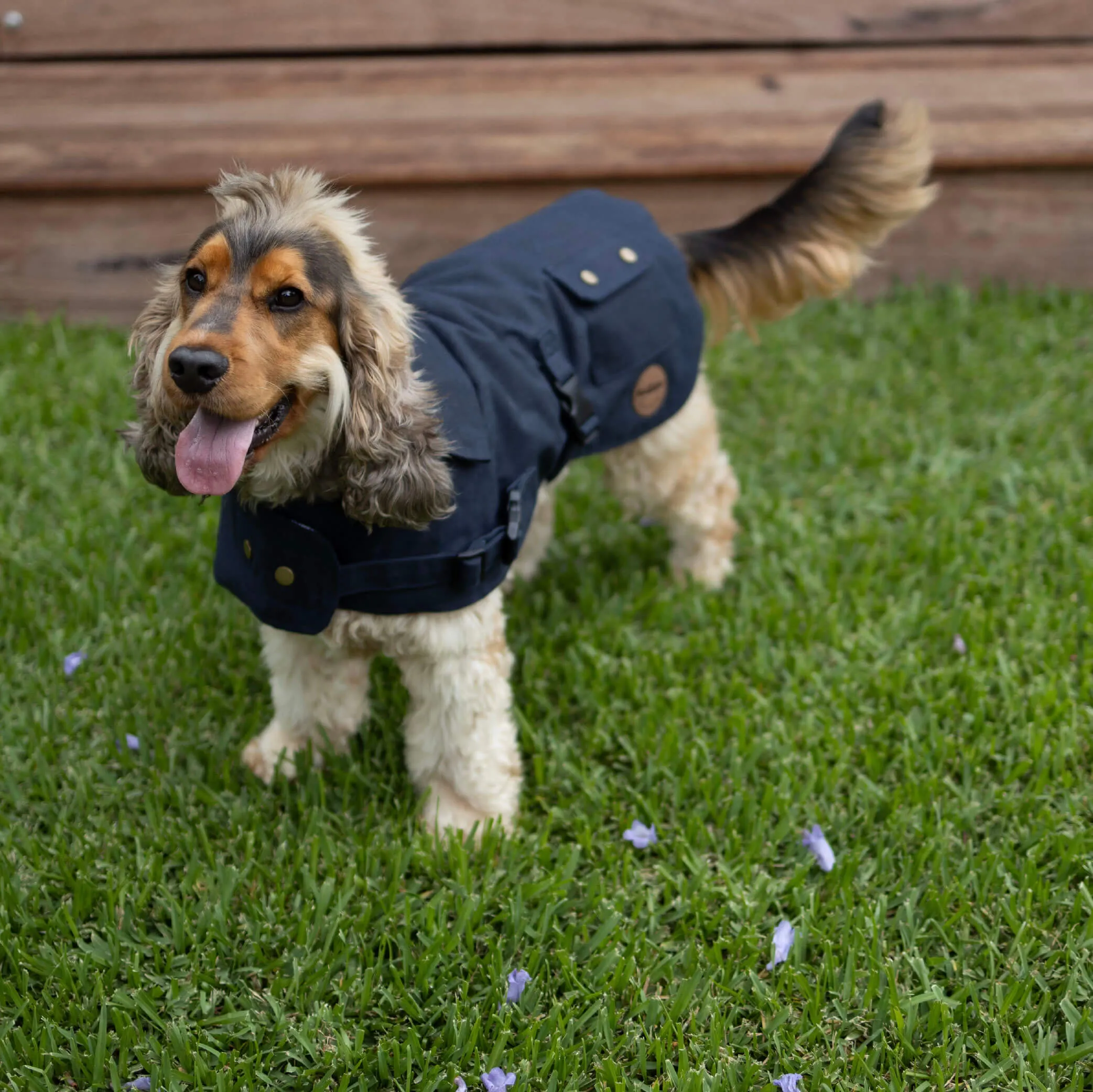 Aussie Oilskin Waterproof Dog Coat - Navy