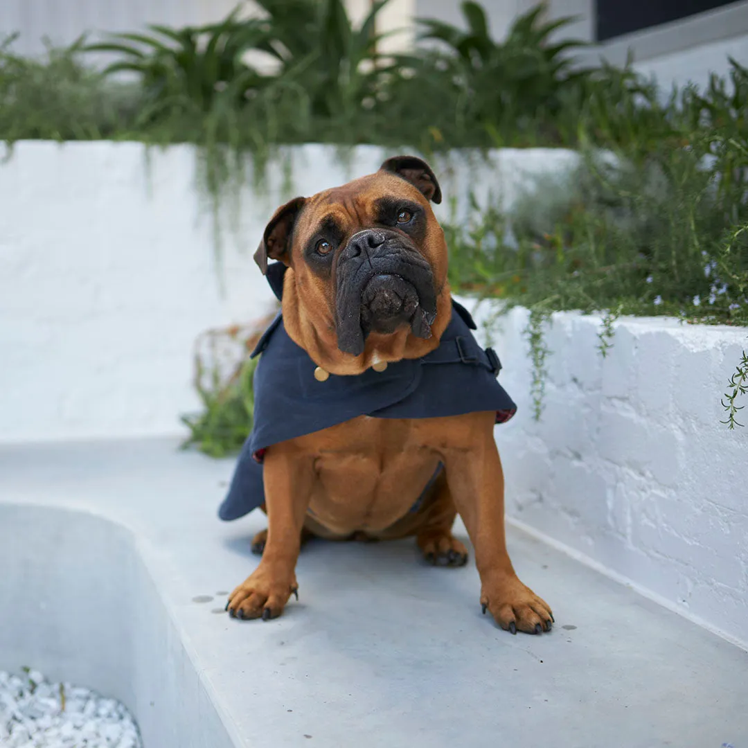 Aussie Oilskin Waterproof Dog Coat - Navy