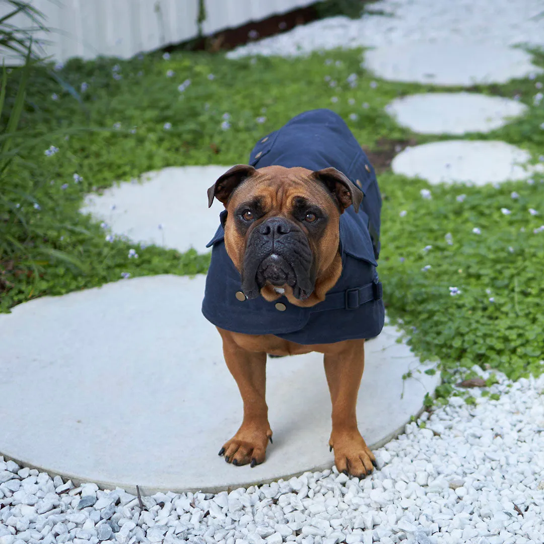 Aussie Oilskin Waterproof Dog Coat - Navy