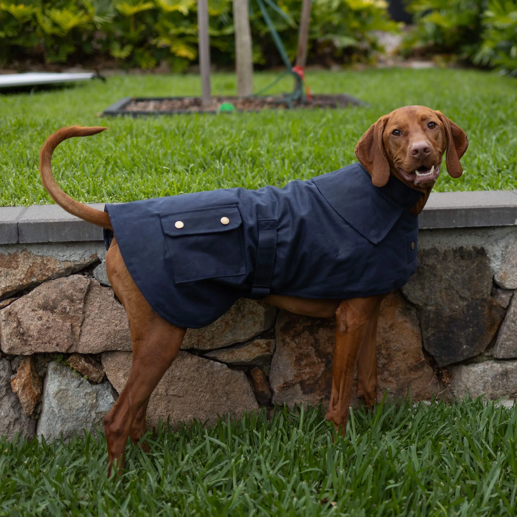 Aussie Oilskin Waterproof Dog Coat - Navy