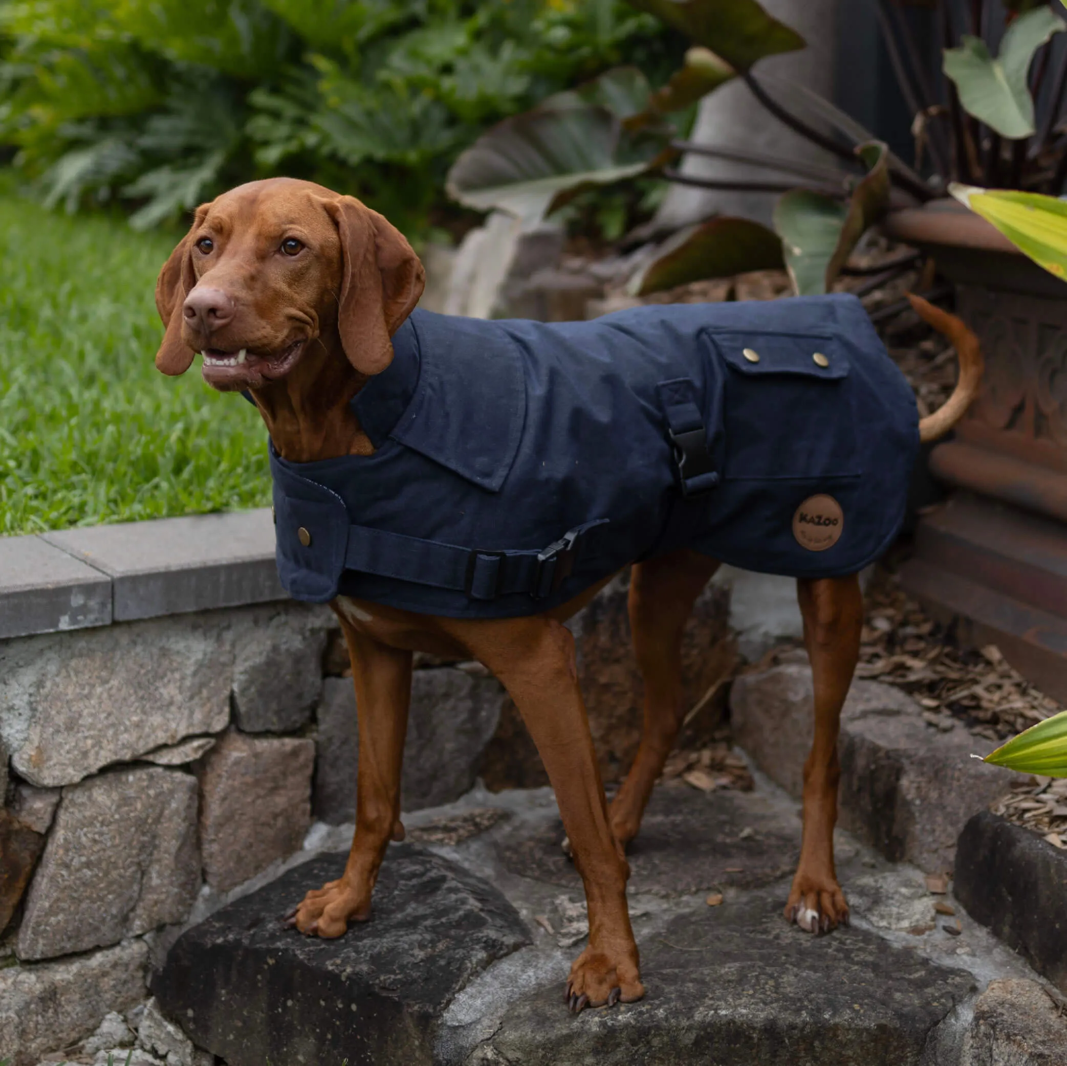 Aussie Oilskin Waterproof Dog Coat - Navy