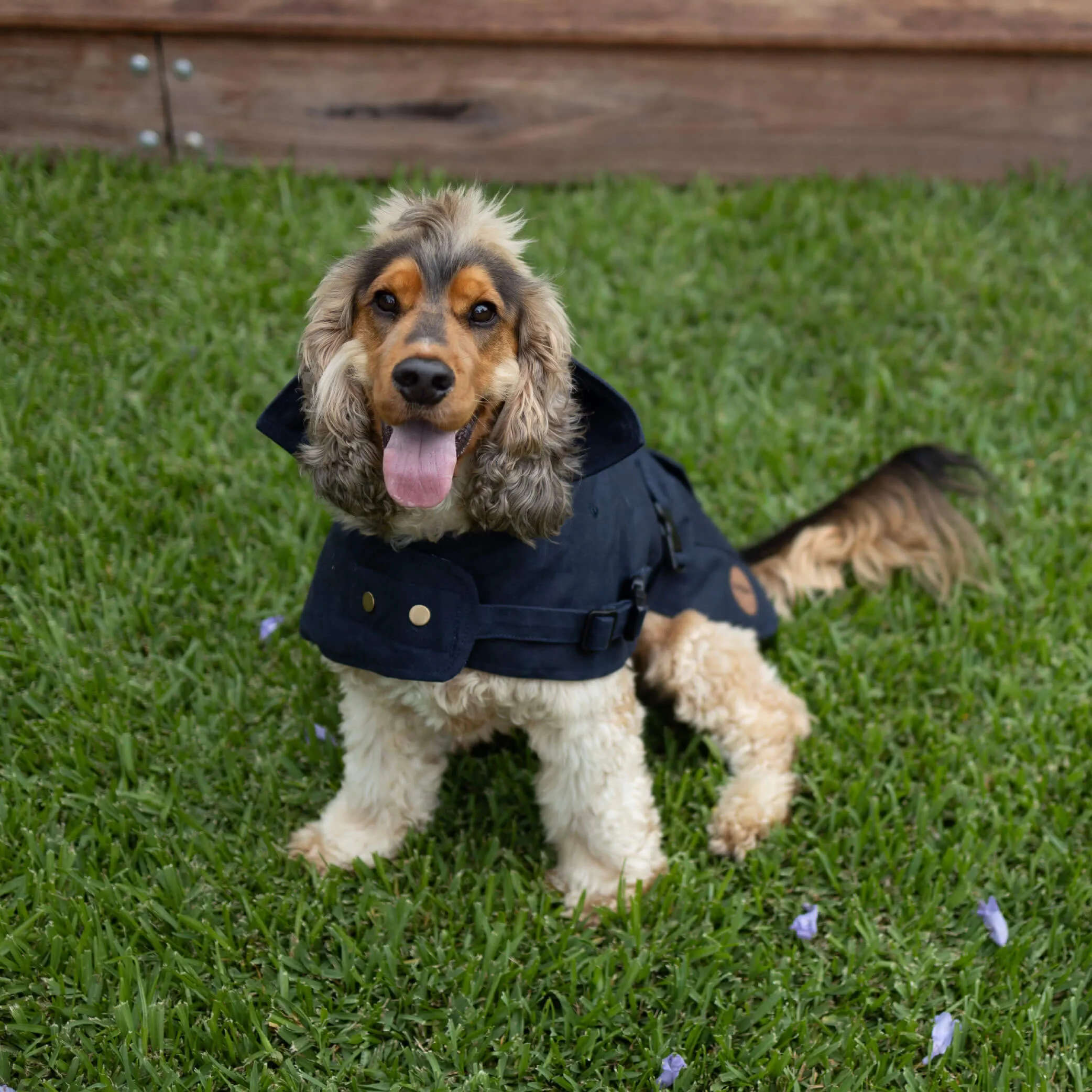 Aussie Oilskin Waterproof Dog Coat - Navy