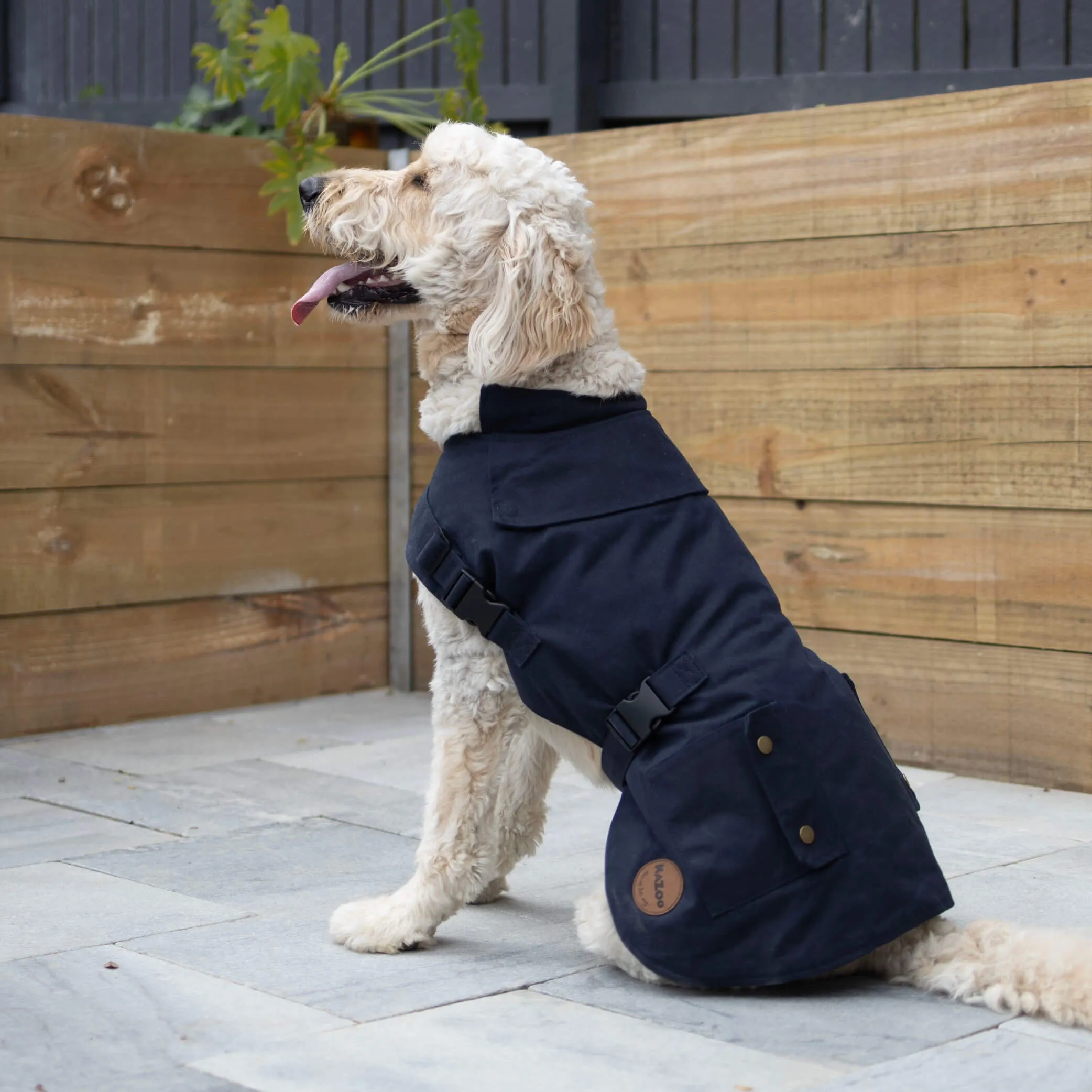 Aussie Oilskin Waterproof Dog Coat - Navy