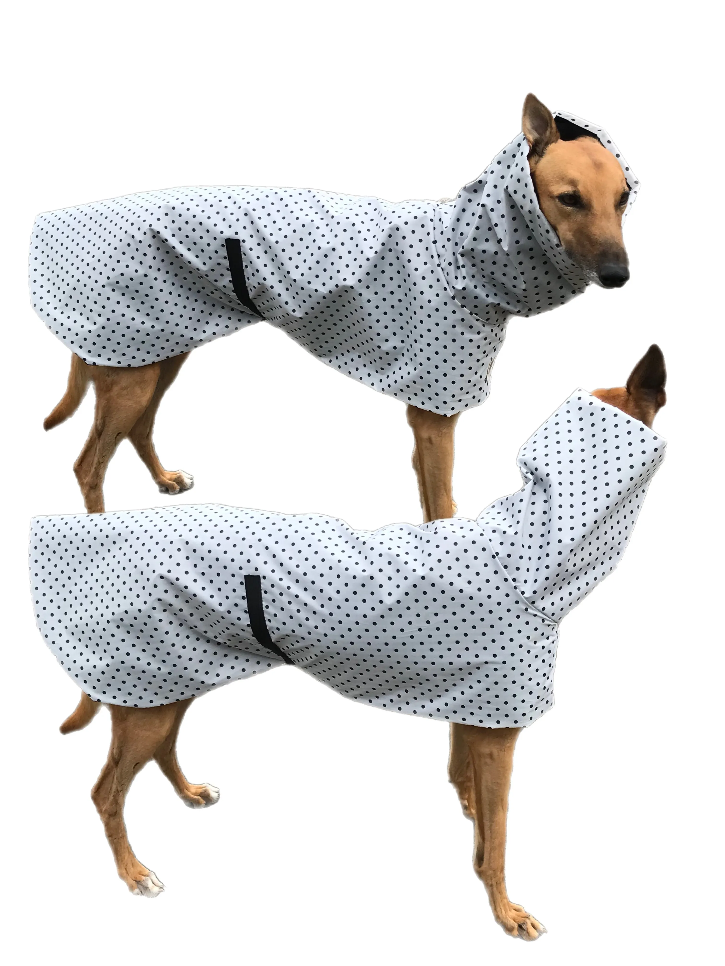 B & W dotty prints Greyhound coat deluxe style, summer rainwear, washable