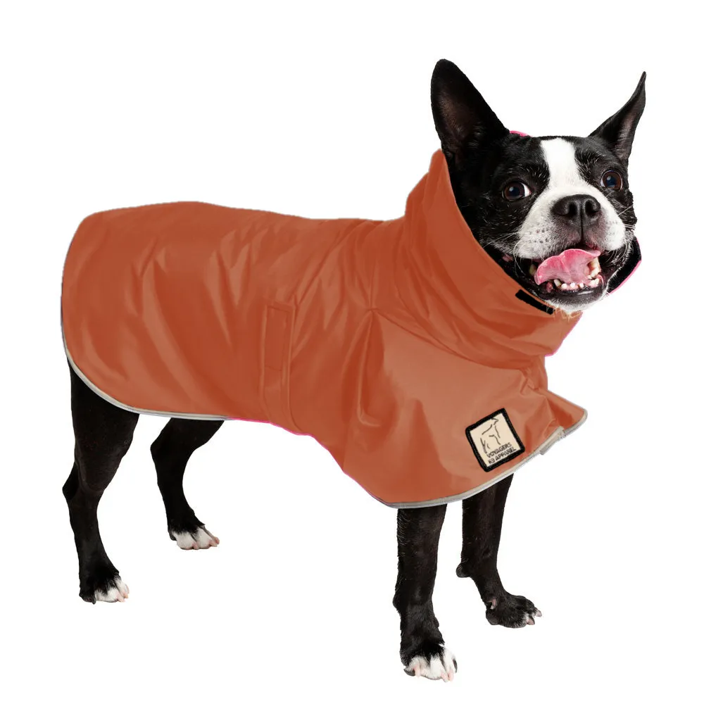 Boston Terrier Raincoat