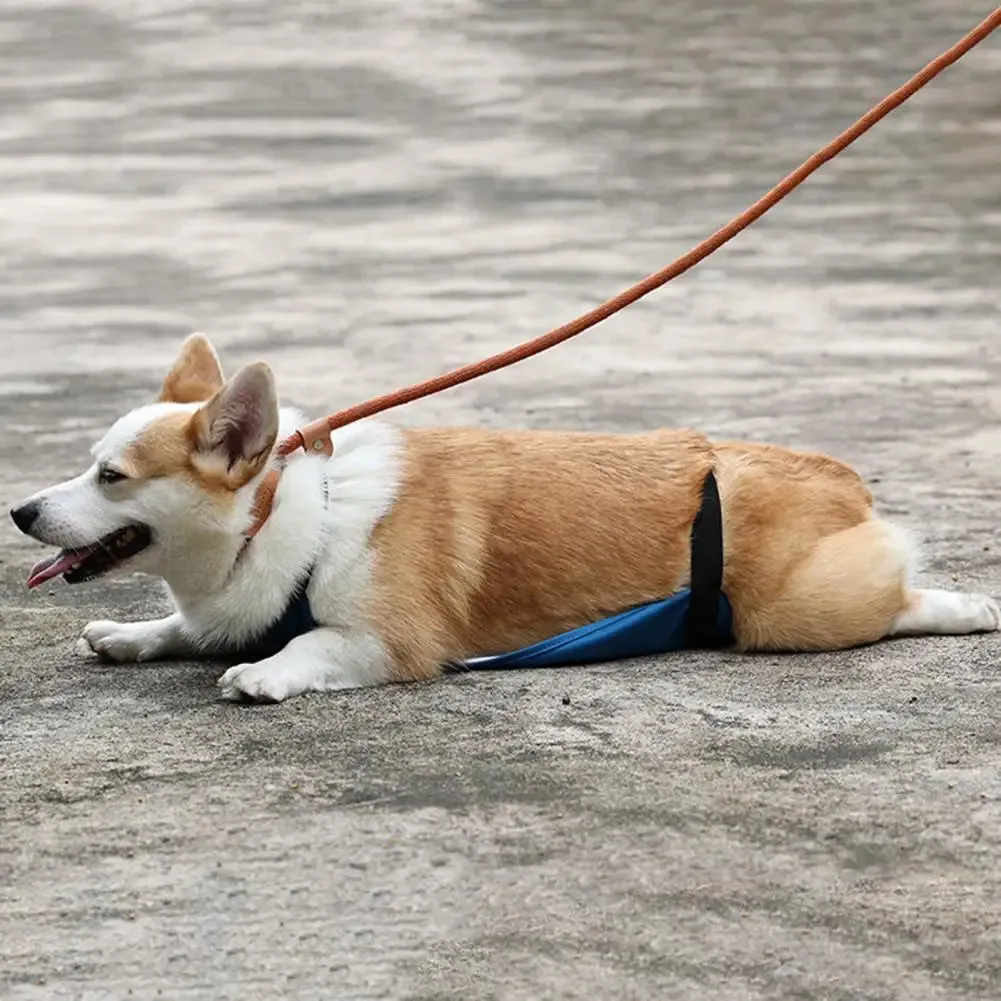 Breathable Dog Belly Band - Waterproof Anti-Dirty Belly Cover for Pets