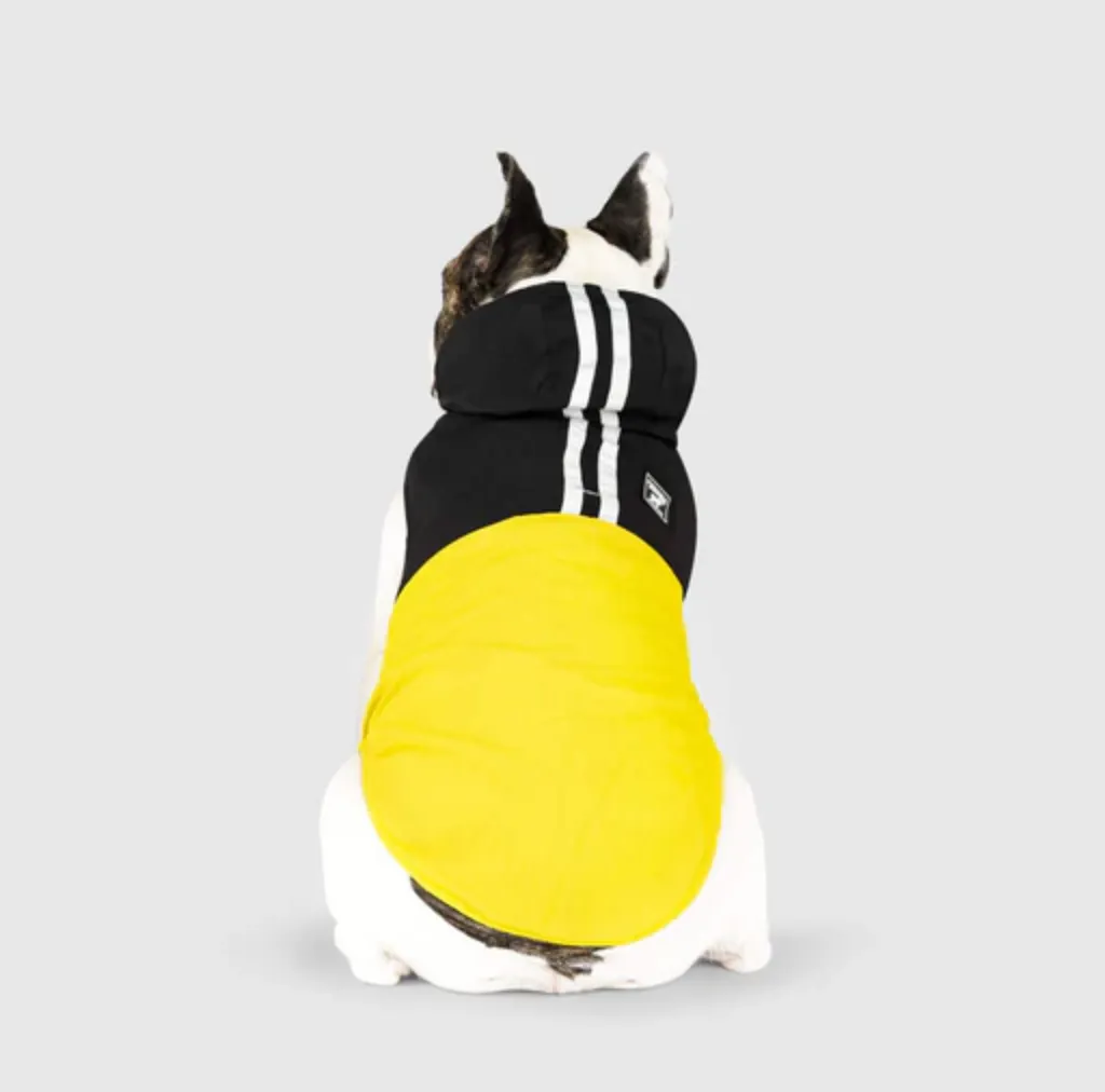 Canada Pooch Pack It Jacket Black & Yellow