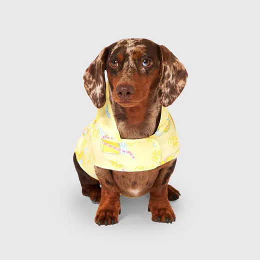 Canada Pooch Pick Me Poncho