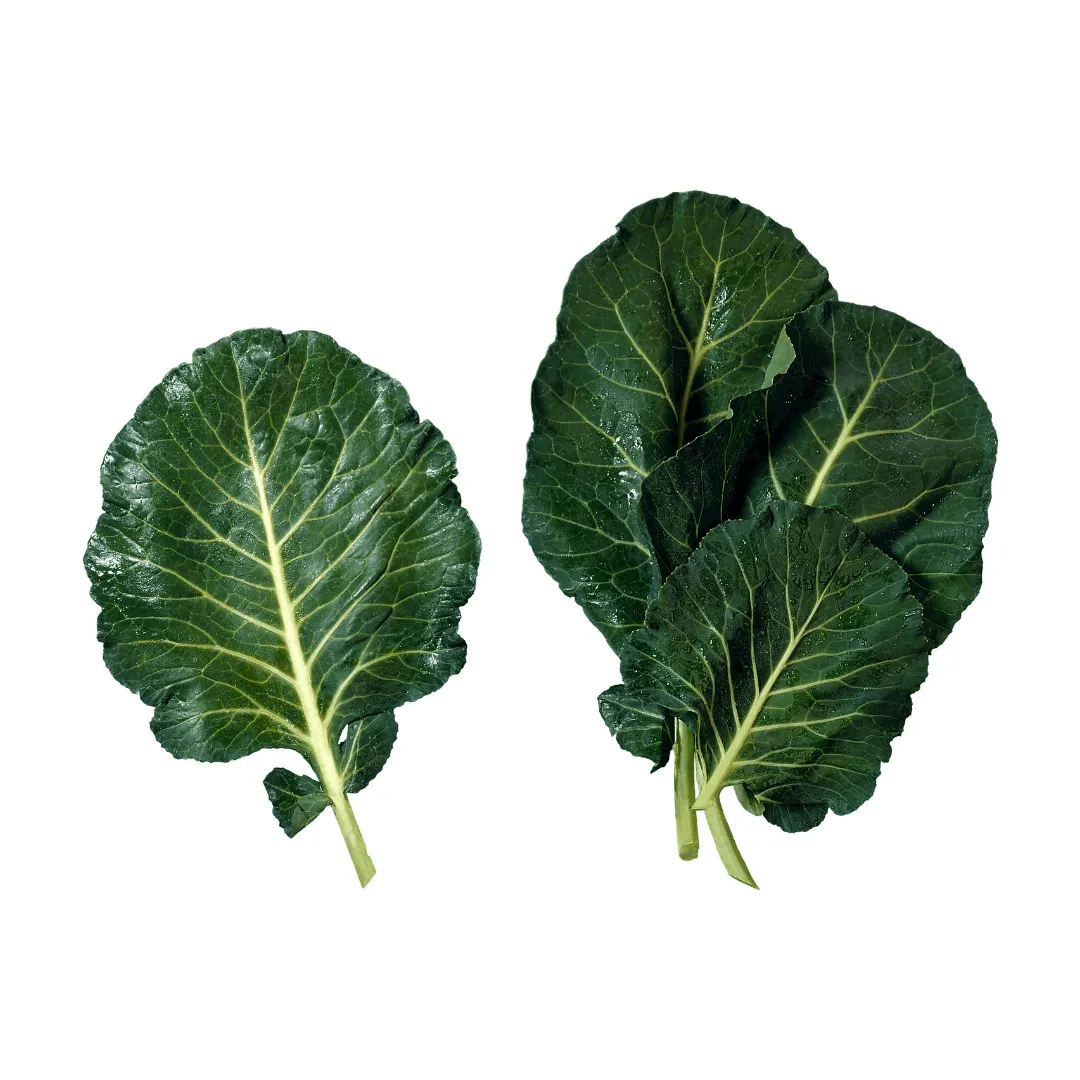 Collard Greens Seeds | OSC Seeds