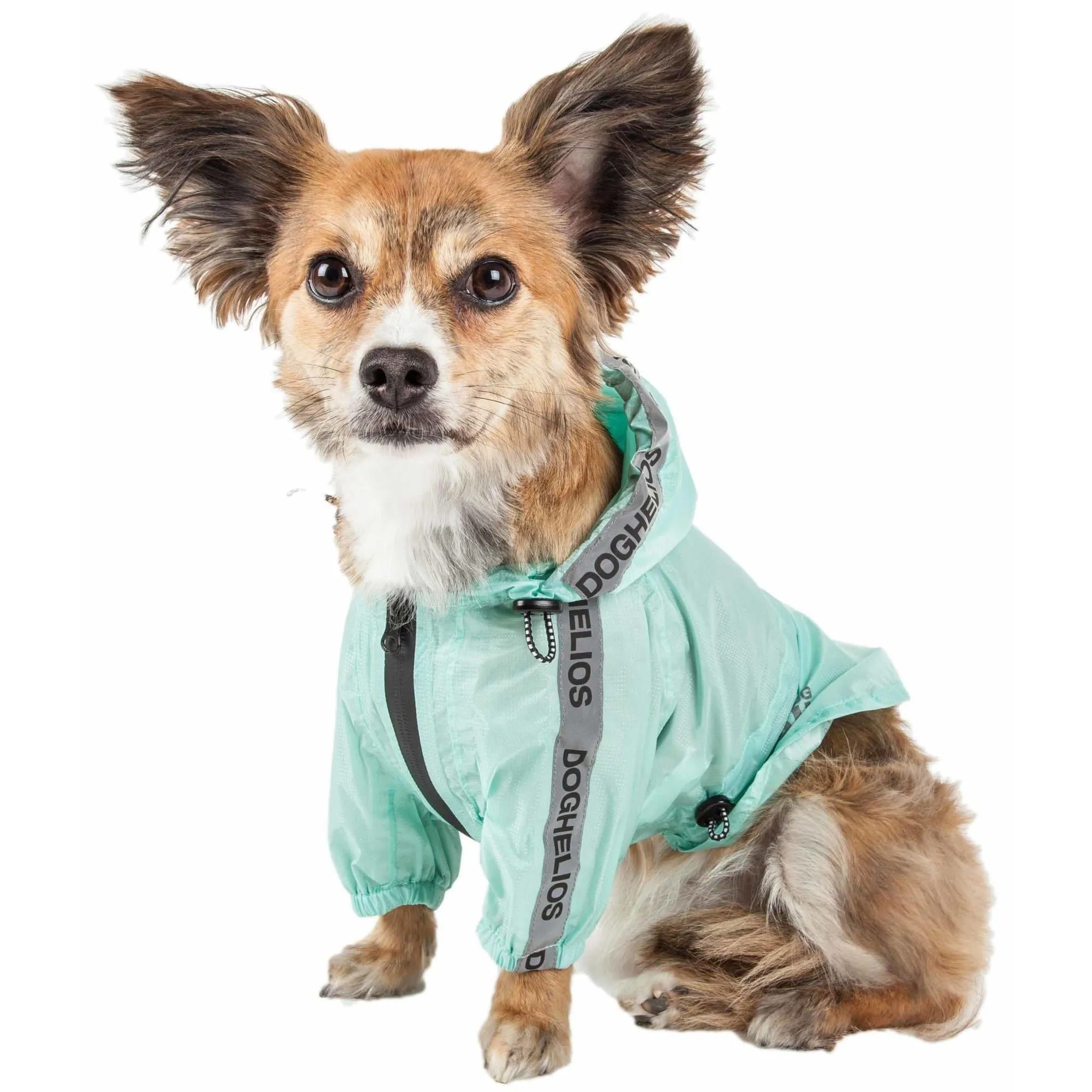 Dog Raincoat