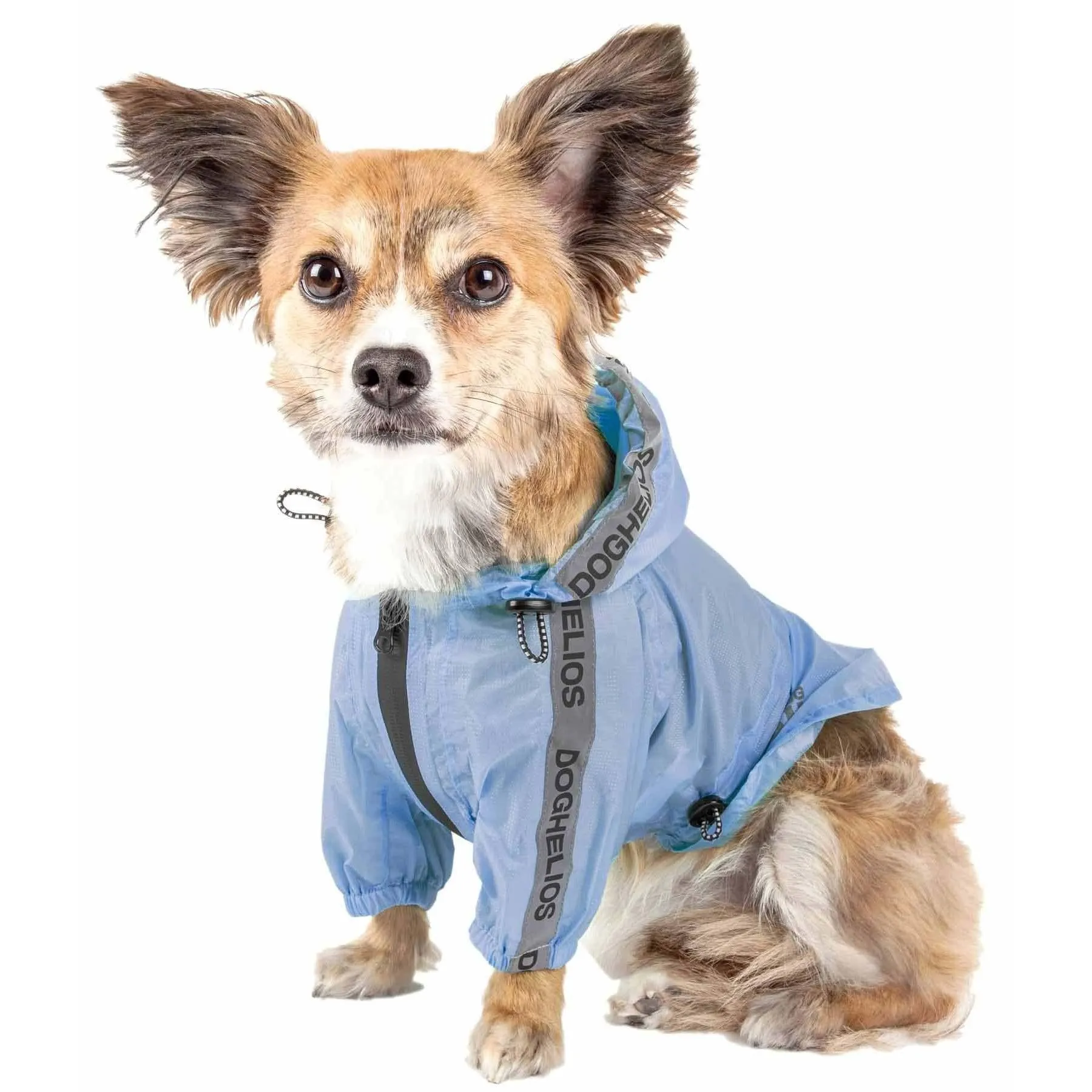 Dog Raincoat