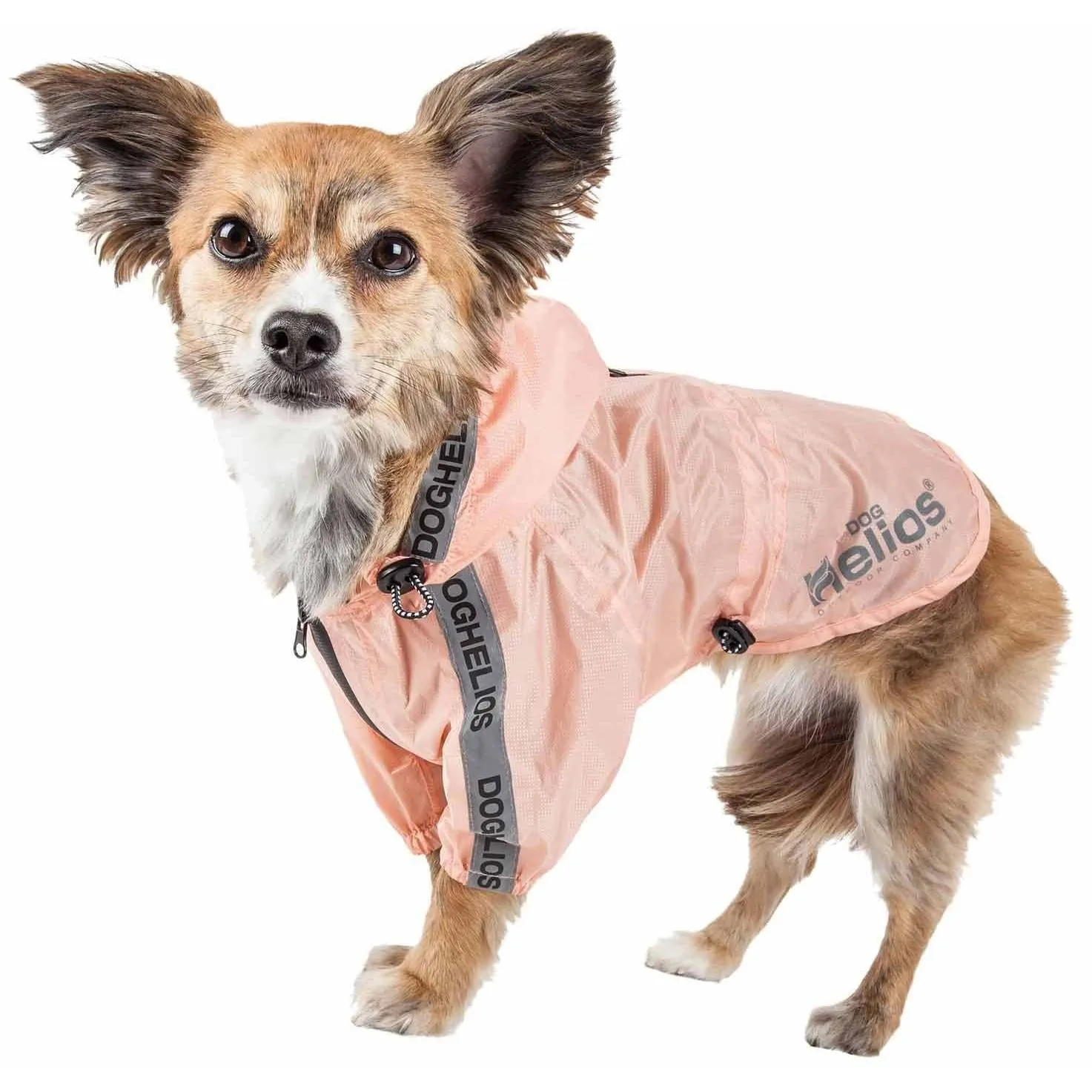 Dog Raincoat