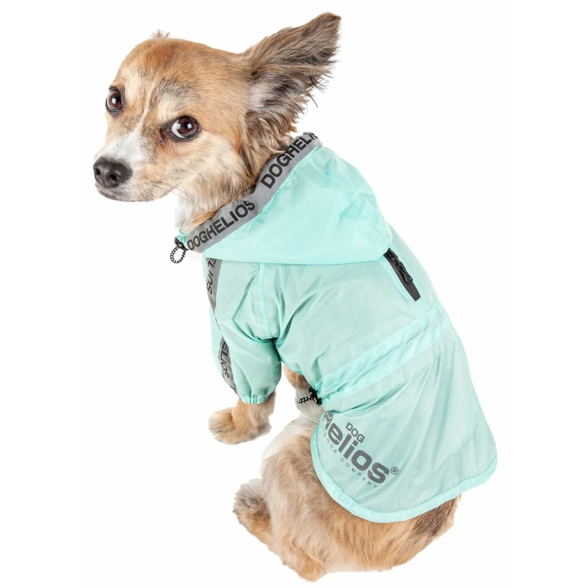 Dog Raincoat