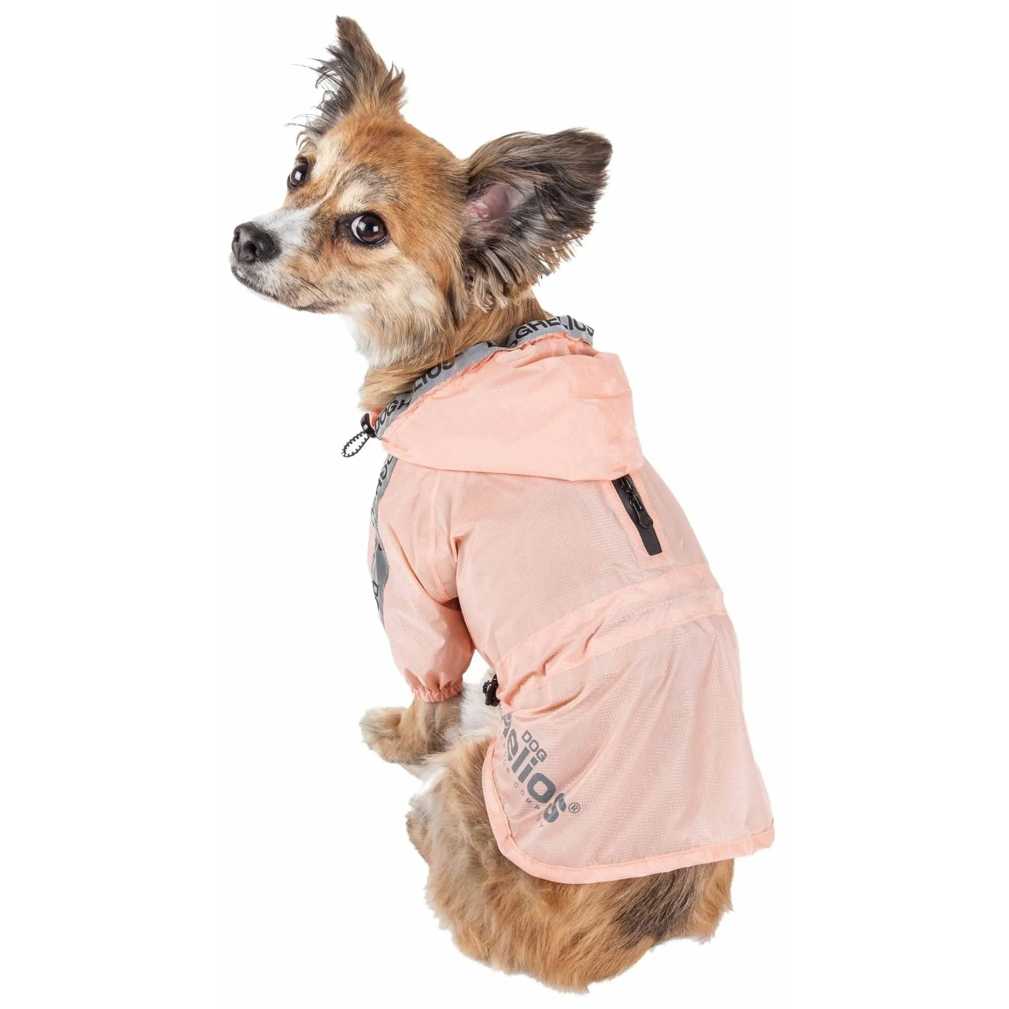 Dog Raincoat