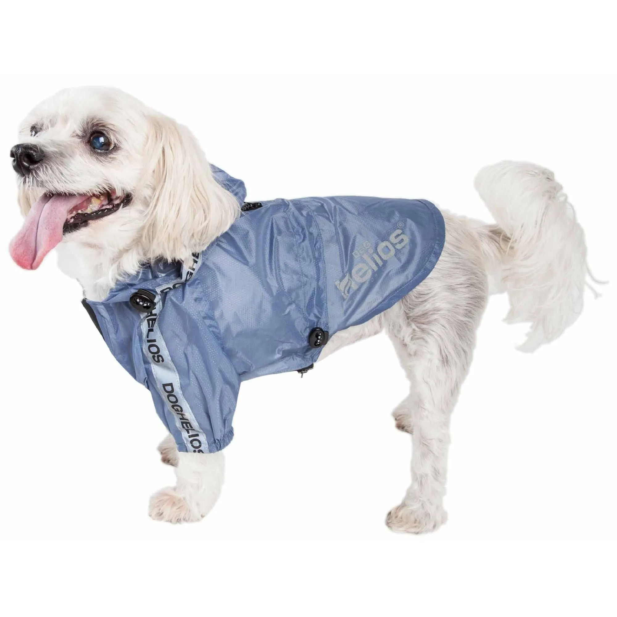 Dog Raincoat