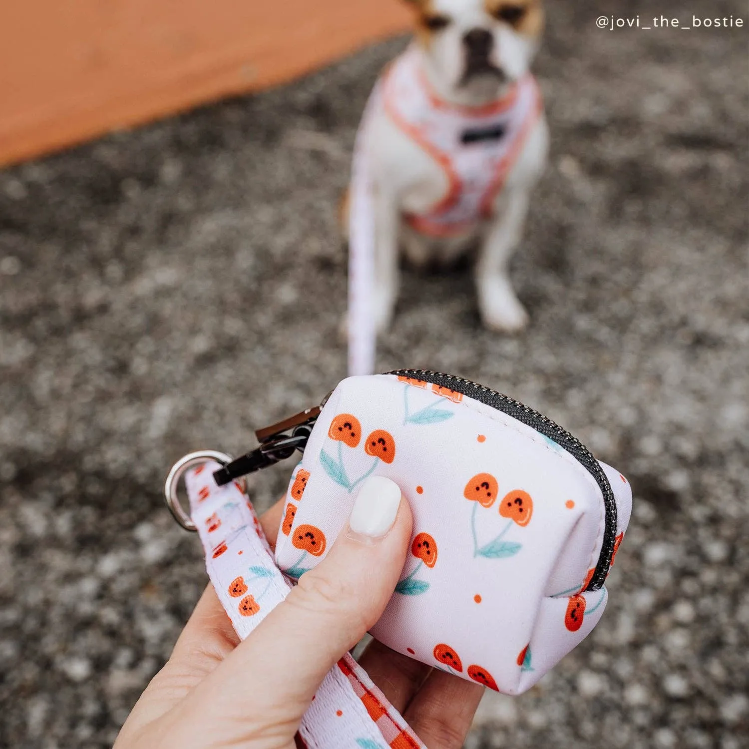 Lucy & Co. The Cheery Cherries Poop Bag Holder