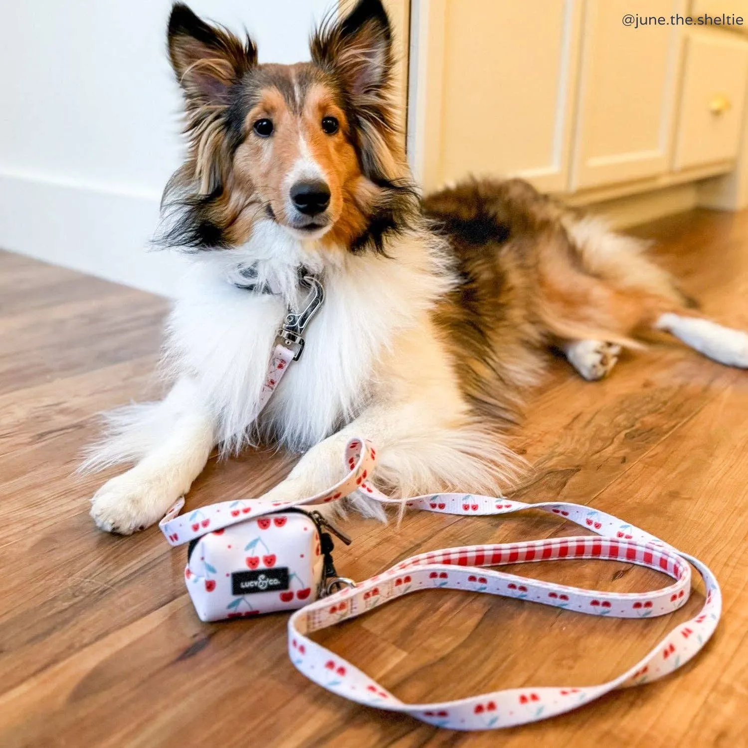 Lucy & Co. The Cheery Cherries Poop Bag Holder