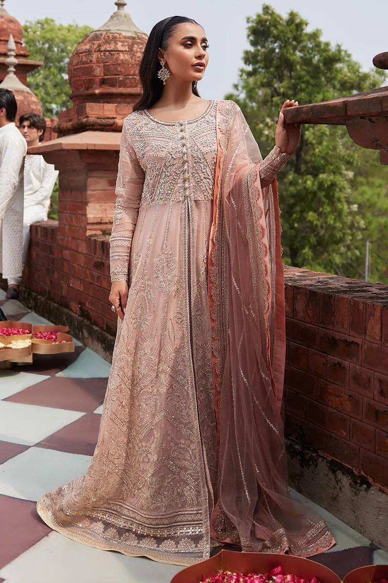 Mushq Izhar Luxury Chiffon Wedding Formals – Taneez