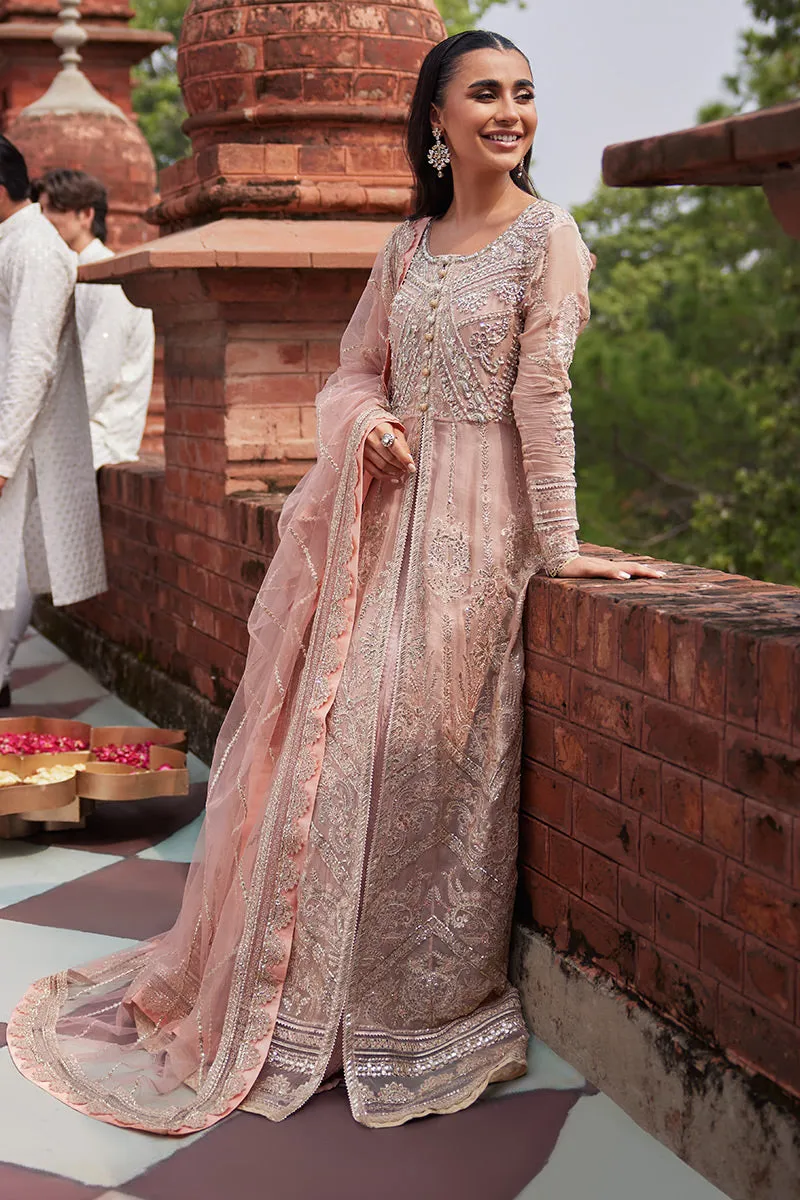 Mushq Izhar Luxury Chiffon Wedding Formals – Taneez