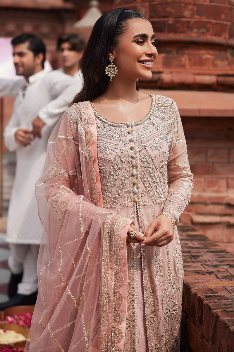 Mushq Izhar Luxury Chiffon Wedding Formals – Taneez