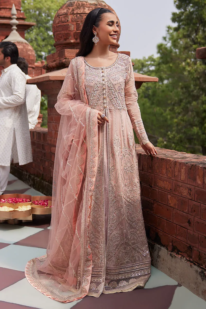 Mushq Izhar Luxury Chiffon Wedding Formals – Taneez