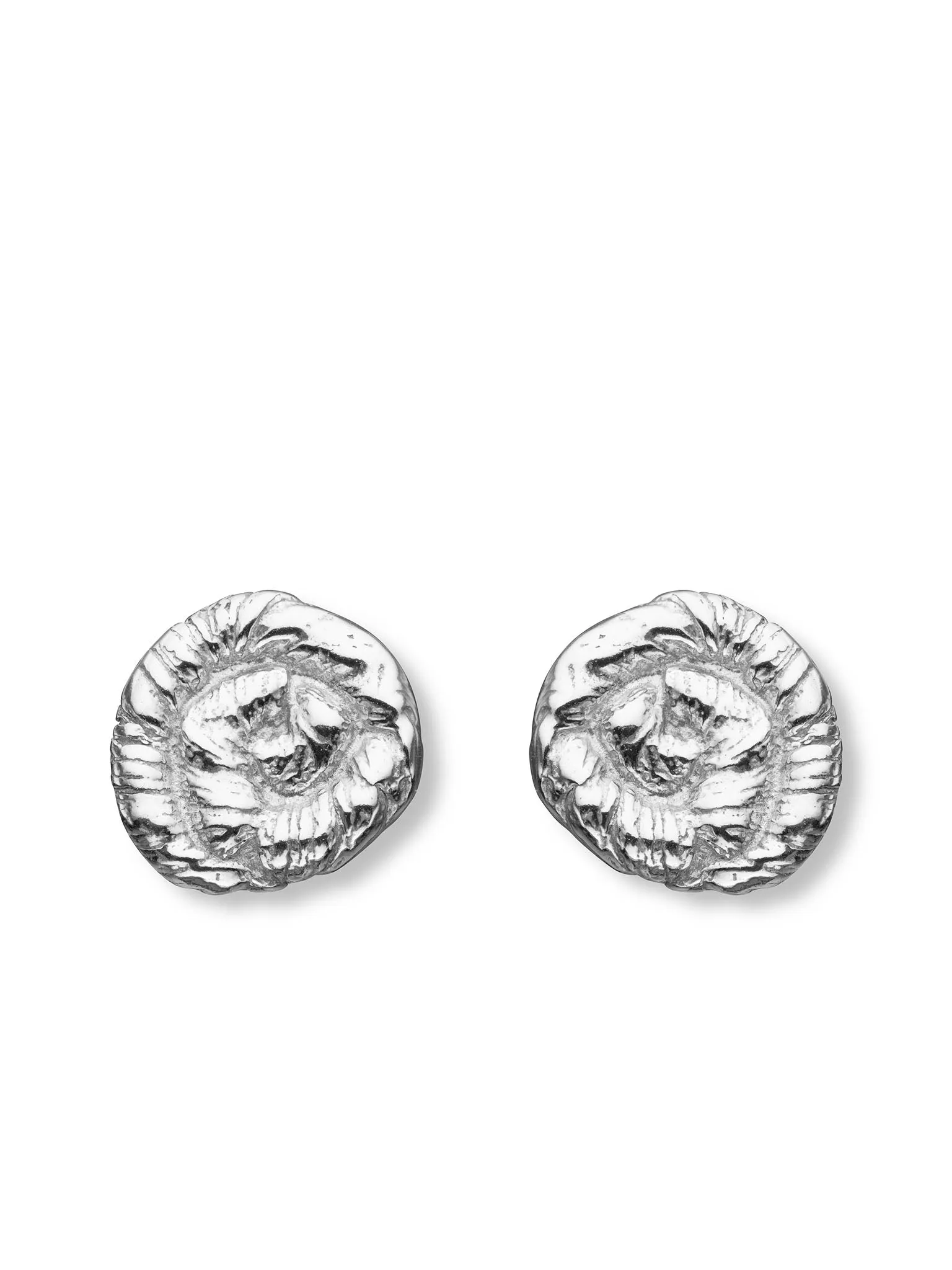 Nautilus Earrings