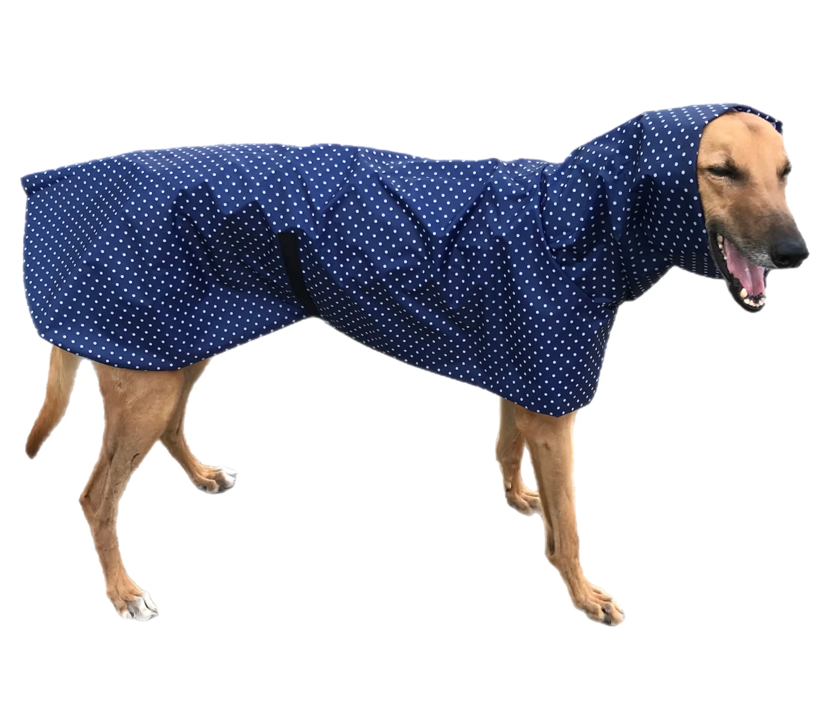 Navy blue dotty prints Greyhound coat deluxe style, summer rainwear, washable