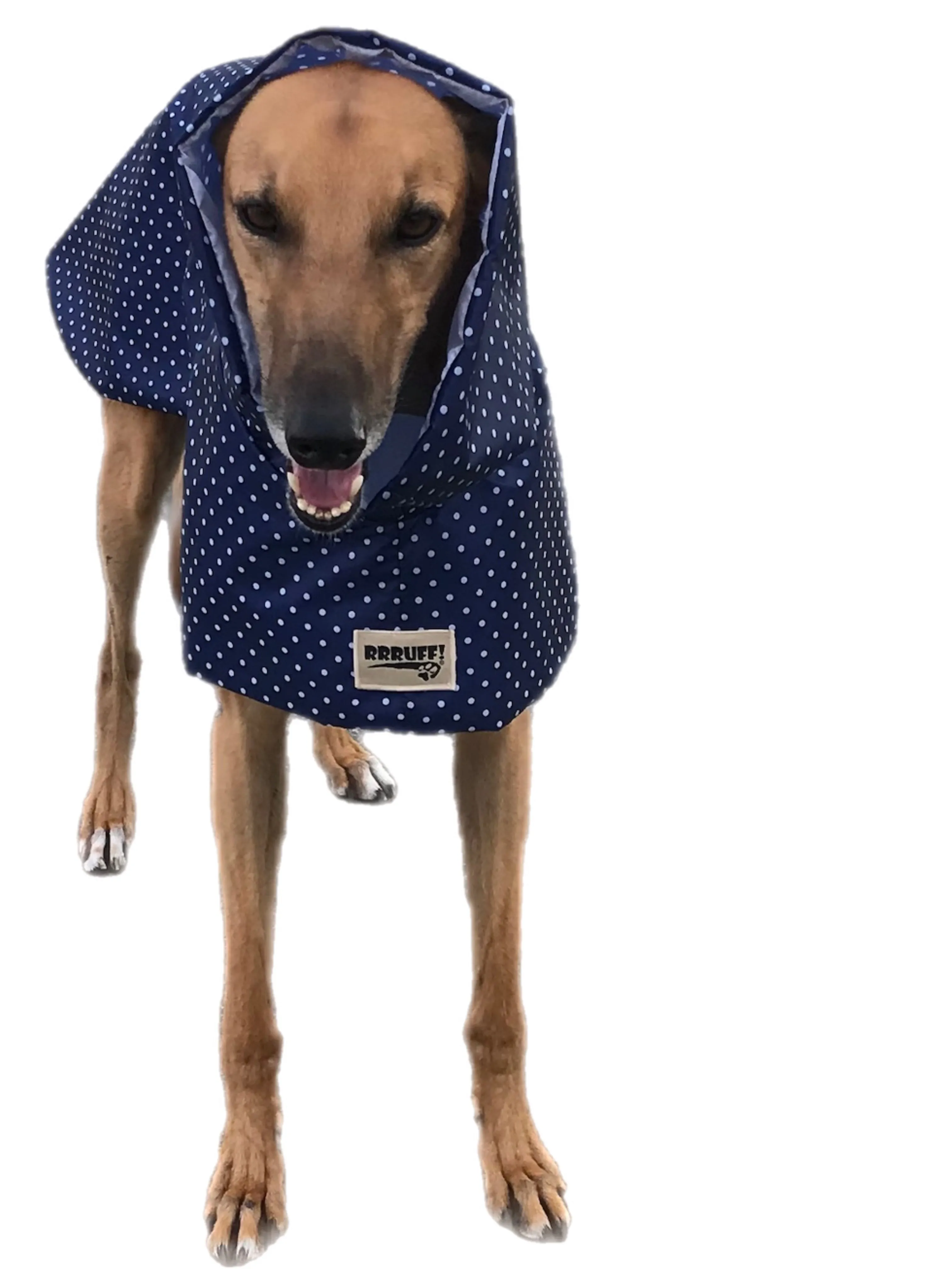 Navy blue dotty prints Greyhound coat deluxe style, summer rainwear, washable