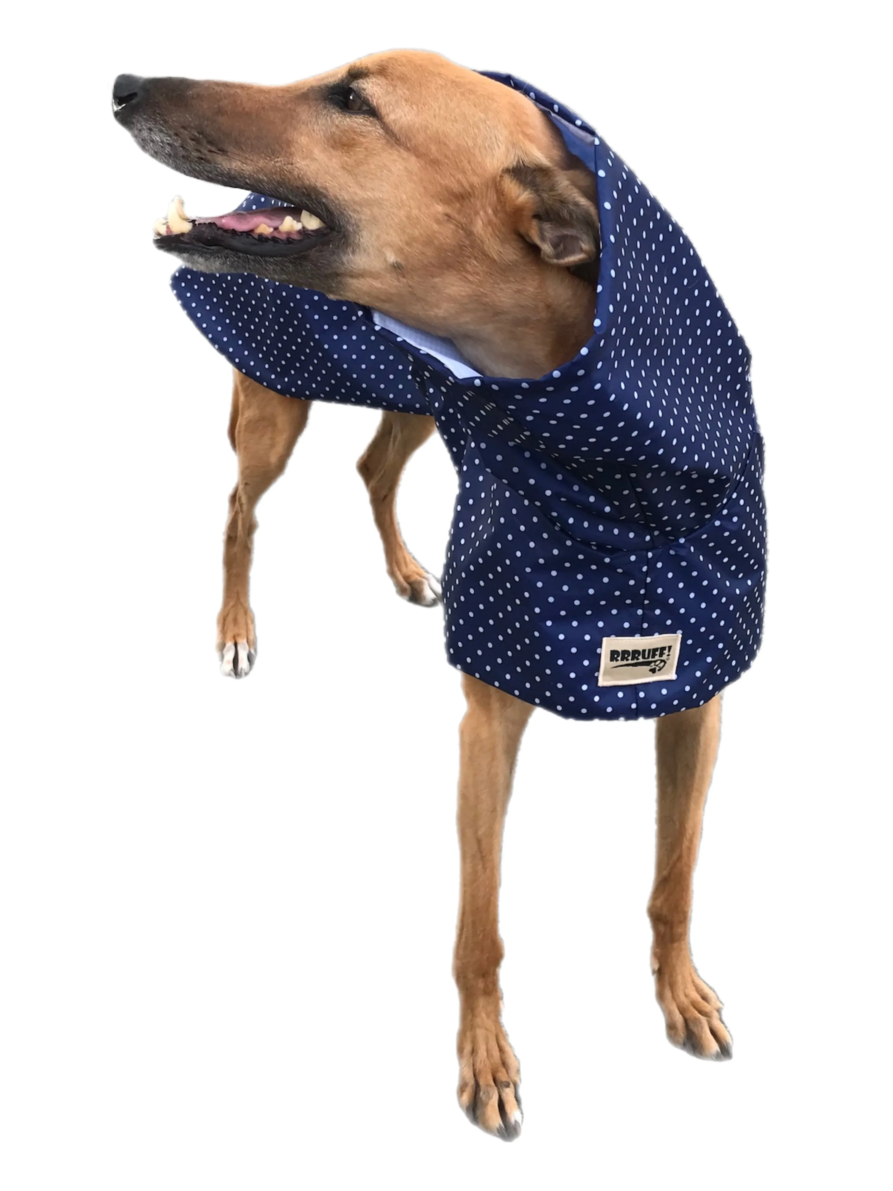 Navy blue dotty prints Greyhound coat deluxe style, summer rainwear, washable