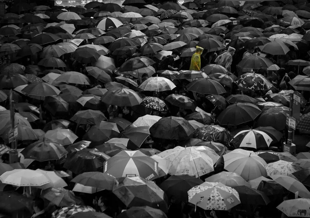 "Yellow Raincoat" Photography by Unit Choy, Wall Art Print