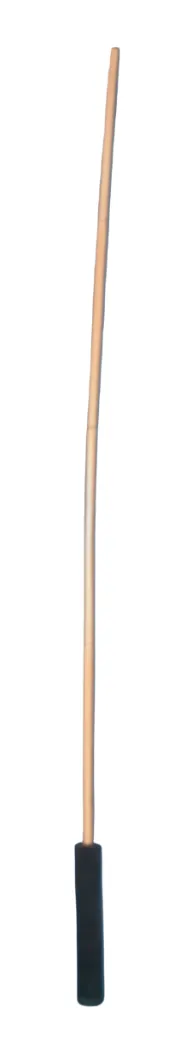 Rattan Cane with Suede Handle - 23 inch