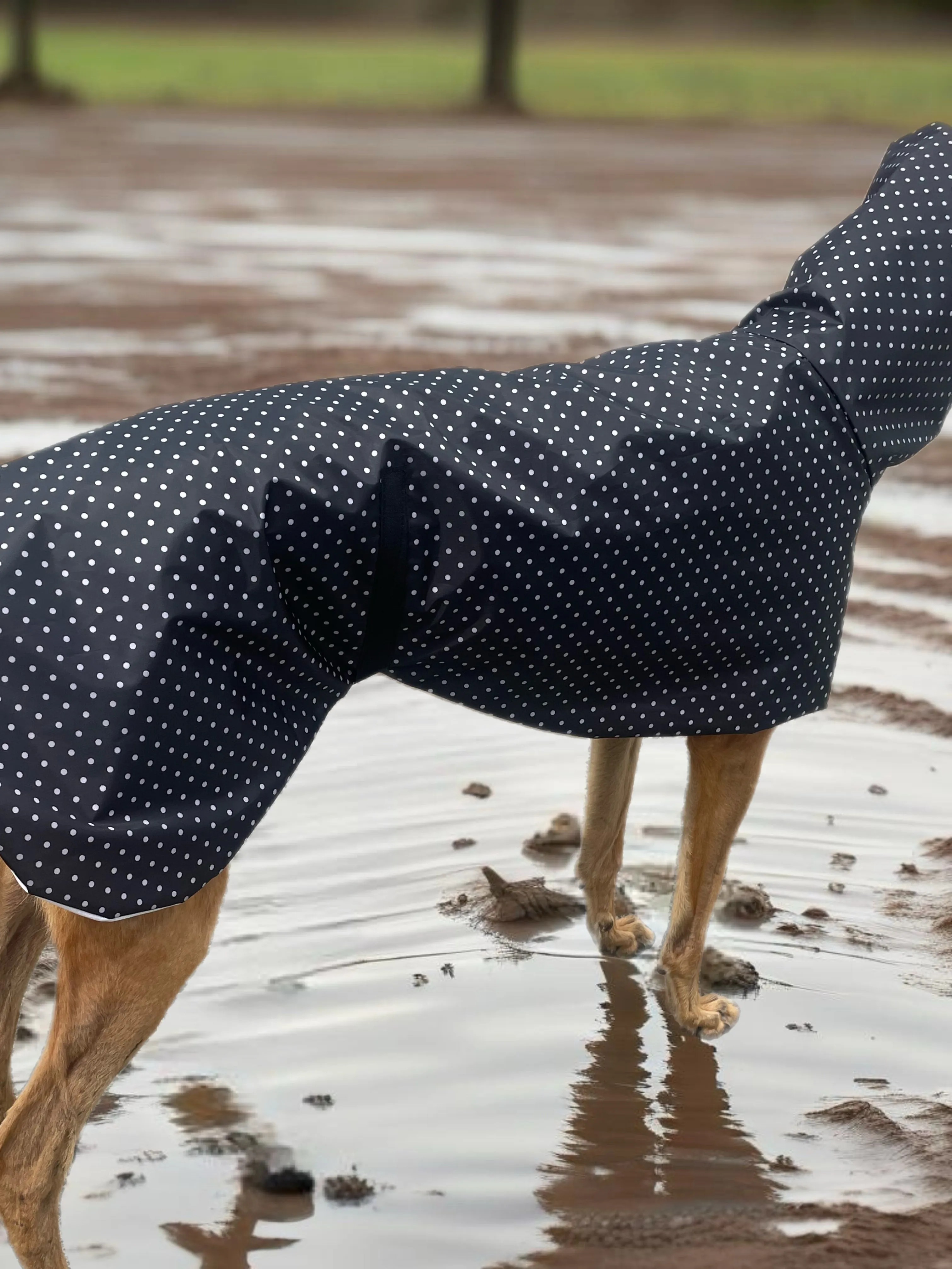 Summer rainwear midnight black Greyhound deluxe style, spring showers, ultra lightweight