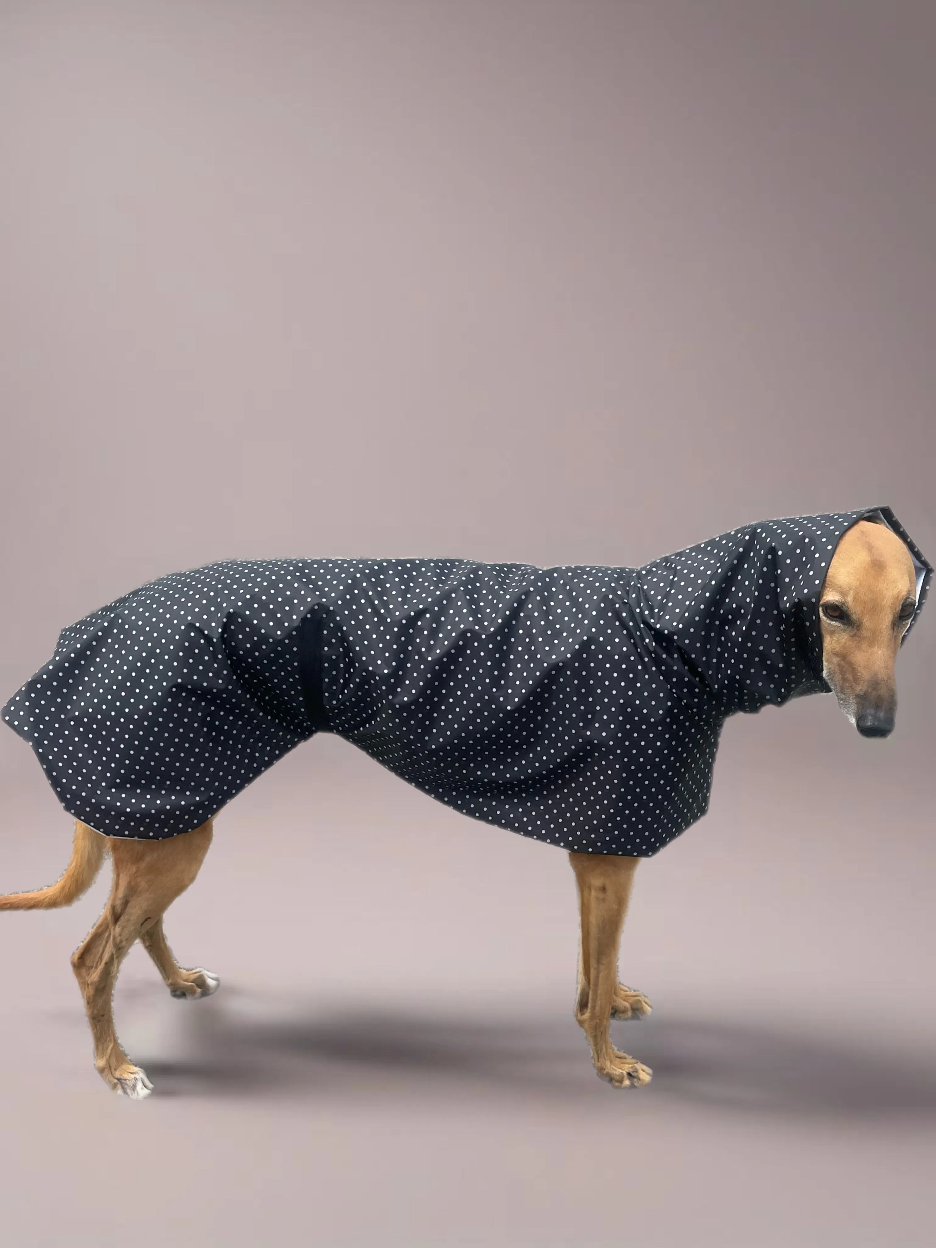 Summer rainwear midnight black Greyhound deluxe style, spring showers, ultra lightweight