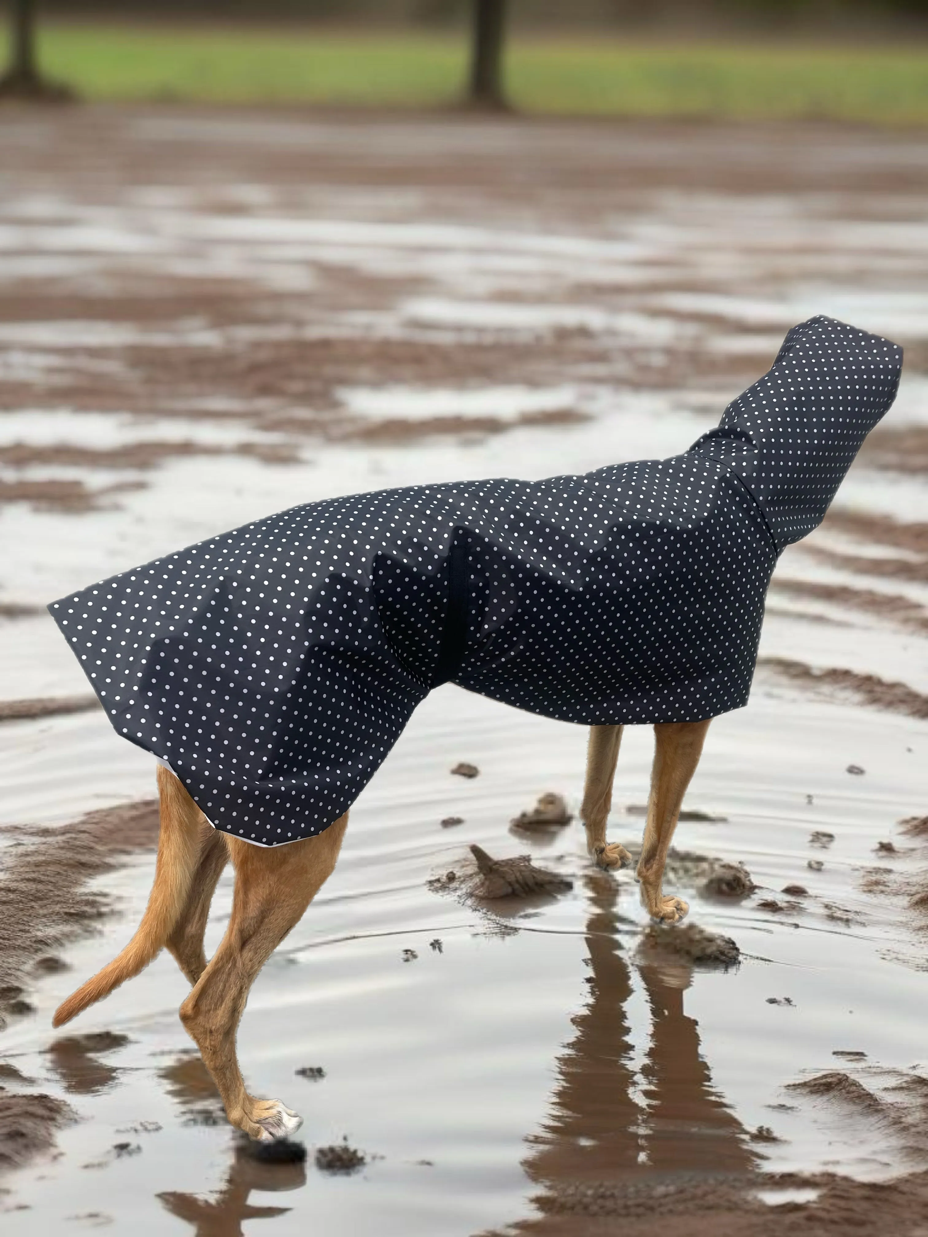 Summer rainwear midnight black Greyhound deluxe style, spring showers, ultra lightweight