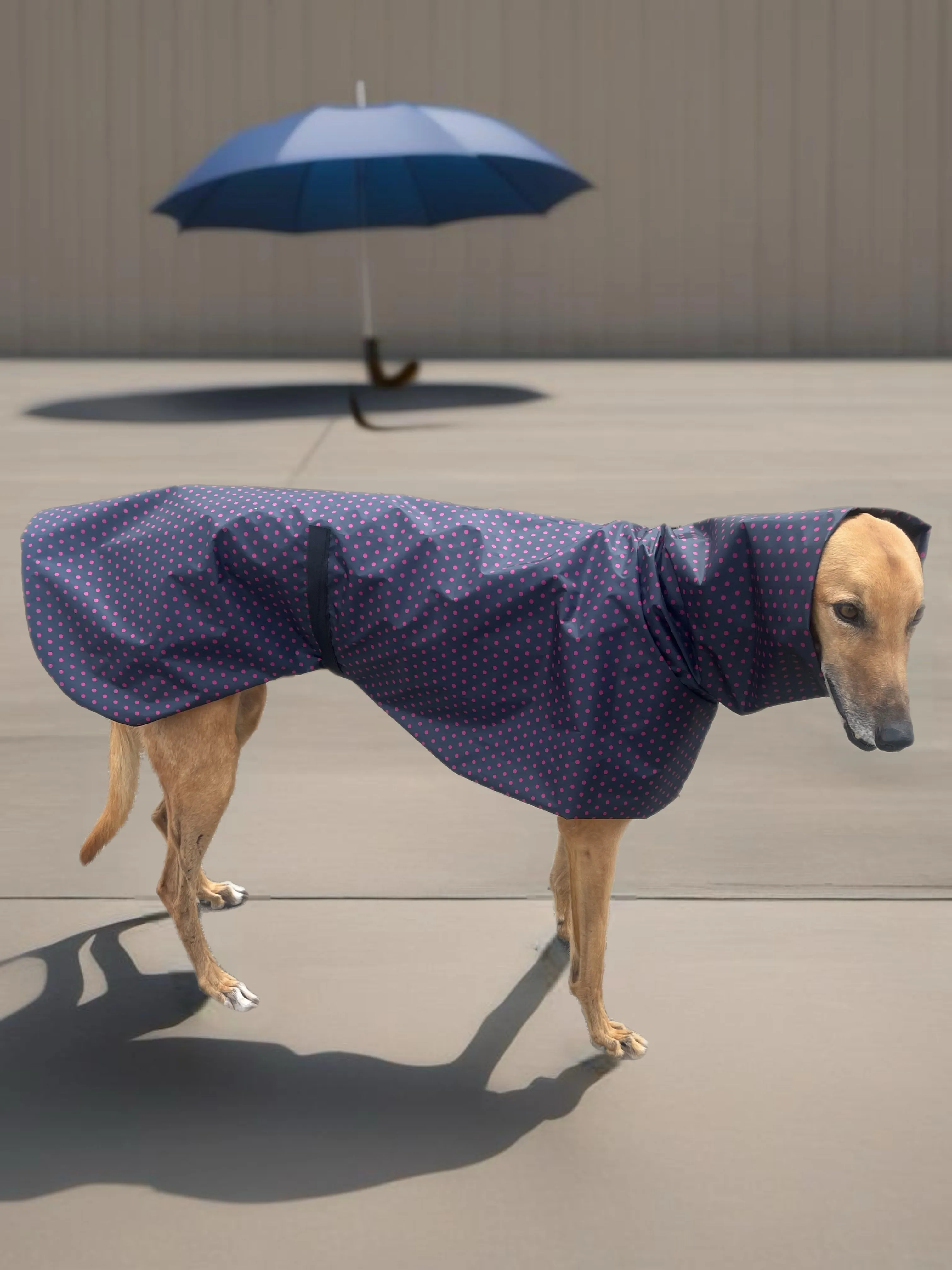 Summer rainwear navy Greyhound deluxe style, spring showers, ultra lightweight,  washable