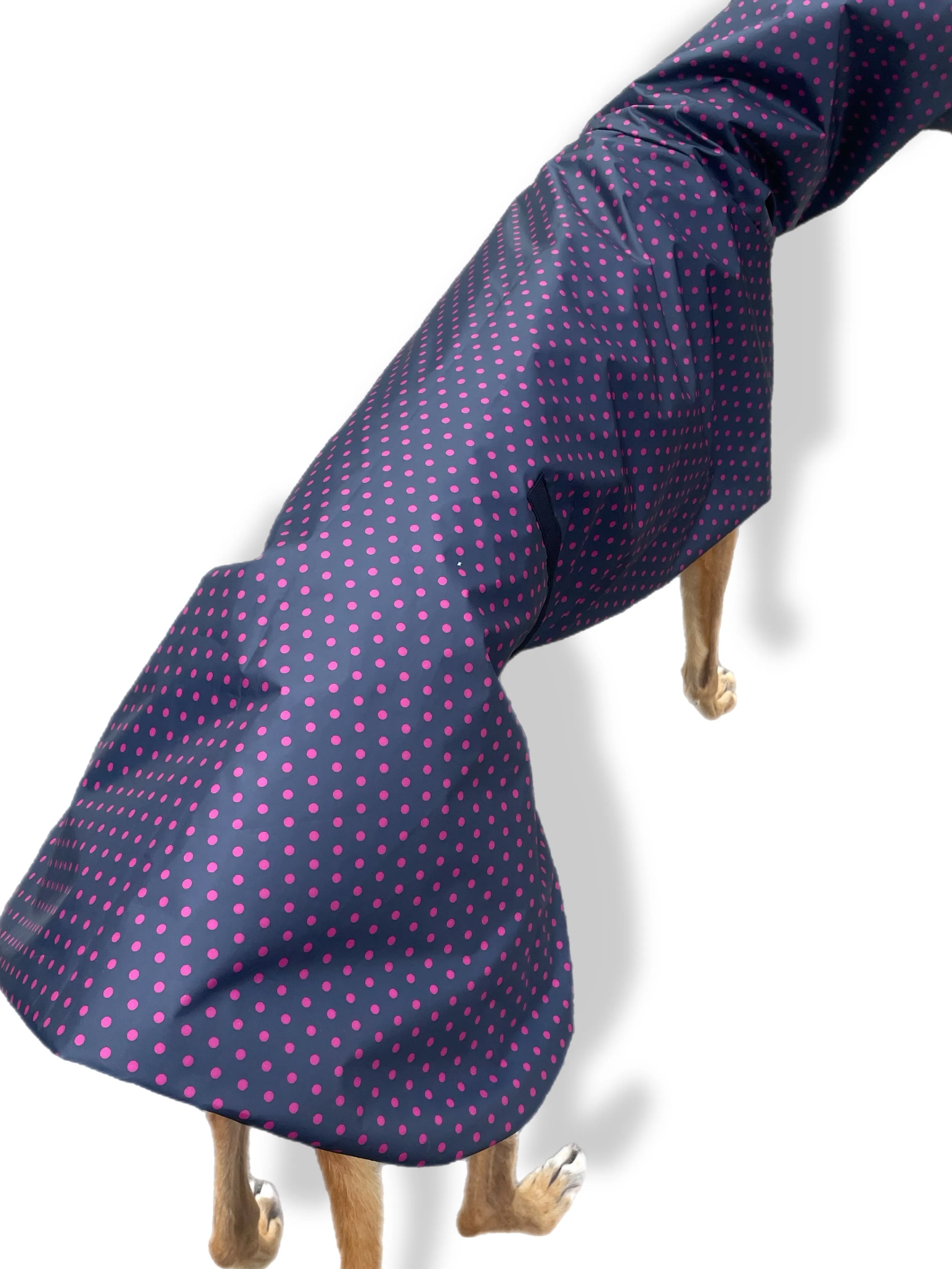 Summer rainwear navy Greyhound deluxe style, spring showers, ultra lightweight,  washable