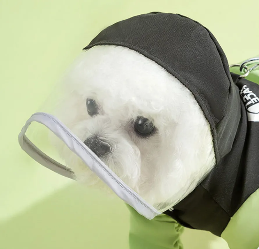 The Dog Face Raincoat