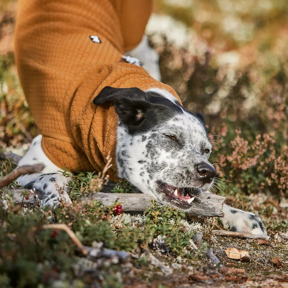 Warming Midlayer ECO Dog Jacket